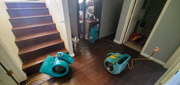 Best 24-hour water damage restoration  in West Dundee, IL