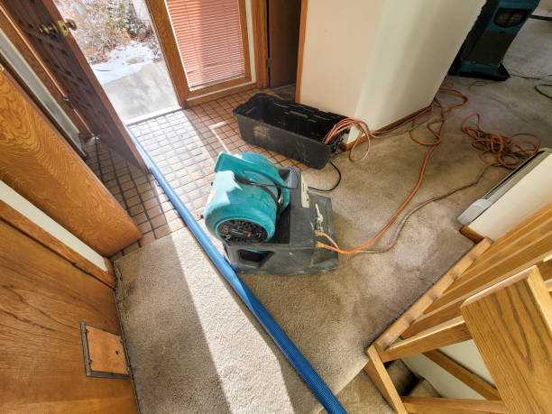 West Dundee, IL Water damage restoration Company