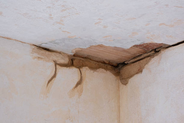 Carpet water damage restoration in West Dundee, IL