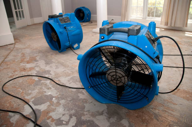 Best 24/7 water damage repair  in West Dundee, IL