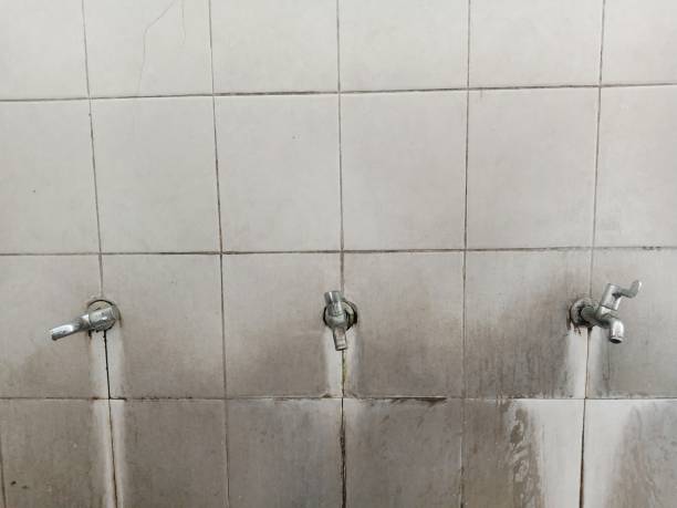 Best Flood damage cleanup  in West Dundee, IL