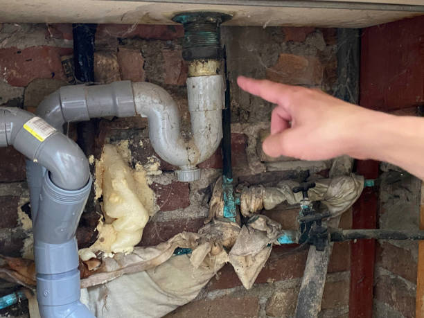 Best Flood damage cleanup  in West Dundee, IL