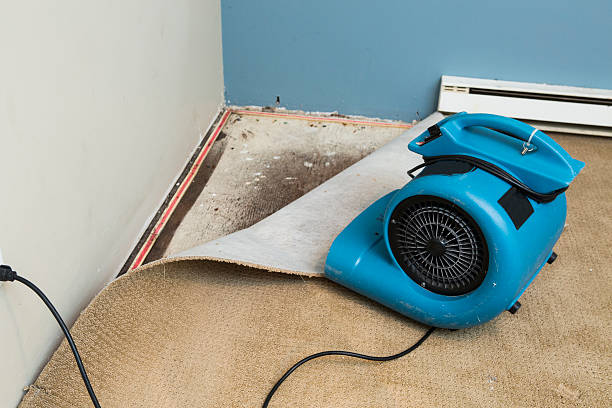 Sewage cleanup and water damage restoration in West Dundee, IL